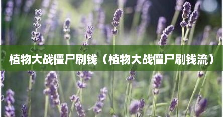 植物大战僵尸刷钱（植物大战僵尸刷钱流）