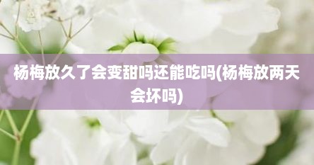 杨梅放久了会变甜吗还能吃吗(杨梅放两天会坏吗)