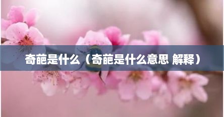 奇葩是什么（奇葩是什么意思 解释）