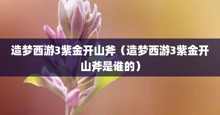 造梦西游3紫金开山斧（造梦西游3紫金开山斧是谁的）