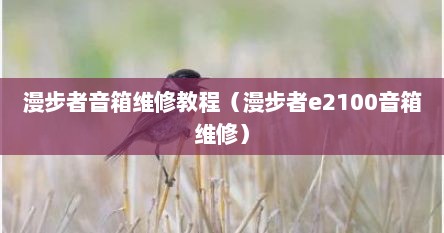 漫步者音箱维修教程(漫步者e2100音箱维修)