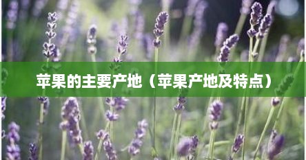 苹果的主要产地（苹果产地及特点）