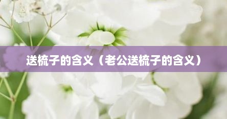 送梳子的含义（老公送梳子的含义）