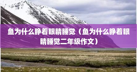 鱼为什么睁着眼睛睡觉（鱼为什么睁着眼睛睡觉二年级作文）