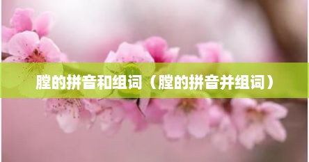 膛的拼音和组词（膛的拼音并组词）