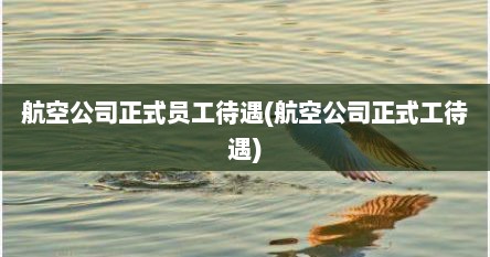 航空公司正式员工待遇(航空公司正式工待遇)