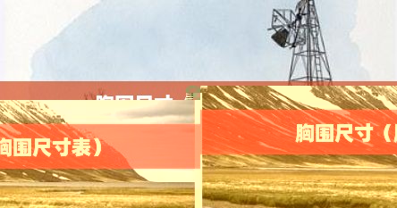 胸围尺寸（胸围尺寸表）