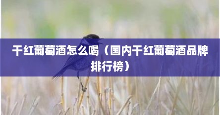干红葡萄酒怎么喝（国内干红葡萄酒品牌排行榜）