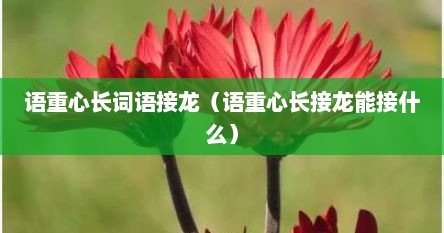 语重心长词语接龙（语重心长接龙能接什么）