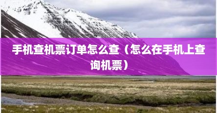 手机查机票订单怎么查（怎么在手机上查询机票）