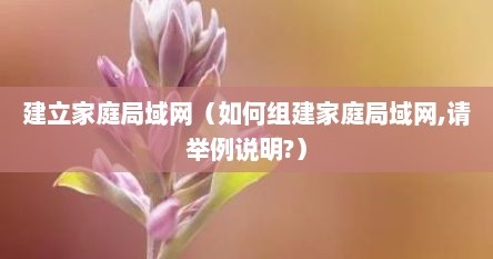 建立家庭局域网（如何组建家庭局域网,请举例说明?）