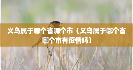 义乌属于哪个省哪个市（义乌属于哪个省哪个市有疫情吗）