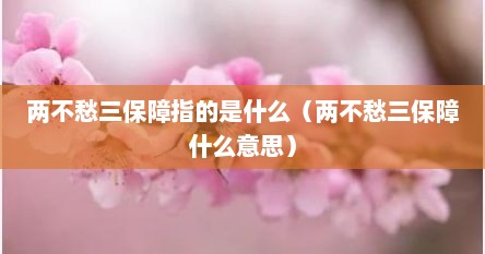 两不愁三保障指的是什么（两不愁三保障什么意思）
