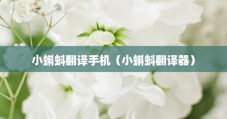 小蝌蚪翻译手机（小蝌蚪翻译器）
