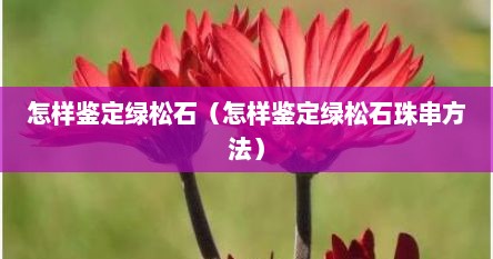 怎样鉴定绿松石（怎样鉴定绿松石珠串方法）
