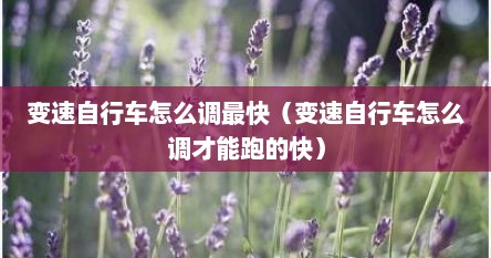 变速自行车怎么调最快（变速自行车怎么调才能跑的快）