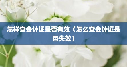 怎样查会计证是否有效（怎么查会计证是否失效）