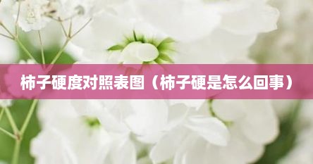 柿子硬度对照表图（柿子硬是怎么回事）