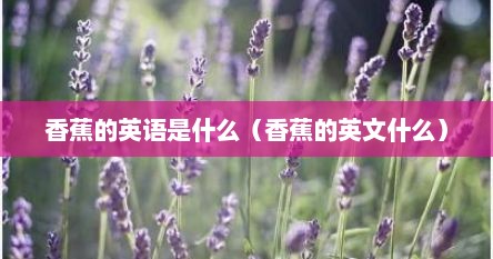 香蕉的英语是什么（香蕉的英文什么）