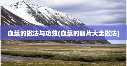 血菜的做法与功效(血菜的图片大全做法)