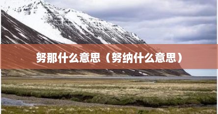 努那什么意思（努纳什么意思）