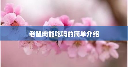 老鼠肉能吃吗的简单介绍