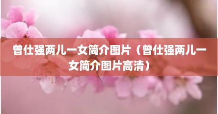 曾仕强两儿一女简介图片（曾仕强两儿一女简介图片高清）