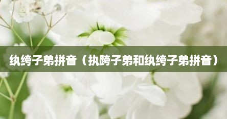 纨绔子弟拼音（执跨子弟和纨绔子弟拼音）
