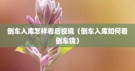 倒车入库怎样看后视镜（倒车入库如何看倒车镜）