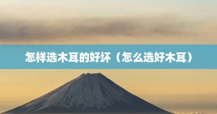 怎样选木耳的好坏（怎么选好木耳）