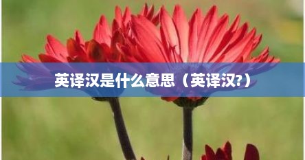 英译汉是什么意思（英译汉?）