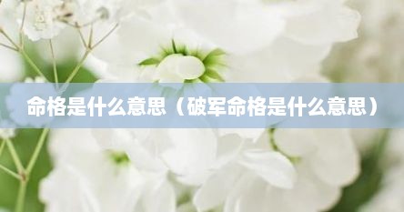 命格是什么意思（破军命格是什么意思）