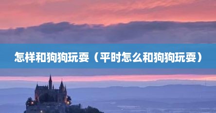怎样和狗狗玩耍（平时怎么和狗狗玩耍）
