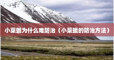 小菜蛾为什么难防治（小菜蛾的防治方法）