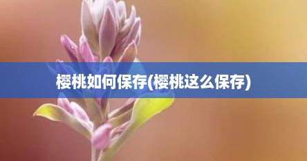 樱桃如何保存(樱桃这么保存)