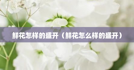 鲜花怎样的盛开（鲜花怎么样的盛开）