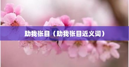 助我张目（助我张目近义词）