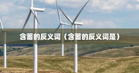 含蓄的反义词语（含蓄的反义词有哪些）