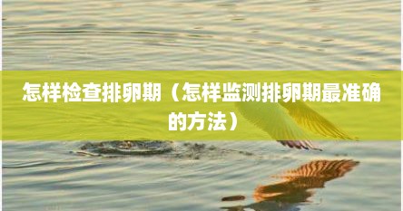 怎样检查排卵期（怎样监测排卵期最准确的方法）