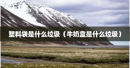 塑料袋是什么垃圾（牛奶盒是什么垃圾）