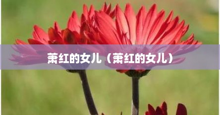 萧红的女儿（萧红的女儿）