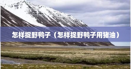 怎样捉野鸭子（怎样捉野鸭子用猪油）