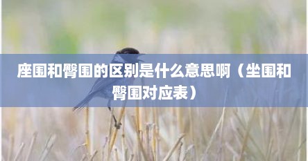 座围和臀围的区别是什么意思啊（坐围和臀围对应表）