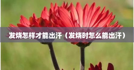 发烧怎样才能出汗（发烧时怎么能出汗）