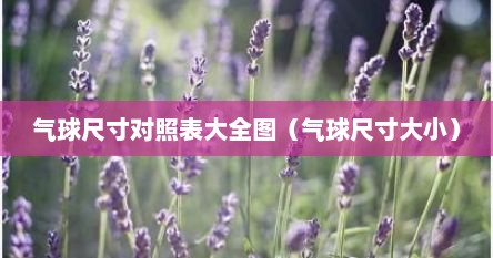 气球尺寸对照表大全图（气球尺寸大小）