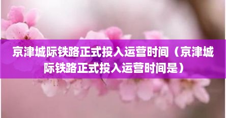 京津城际铁路正式投入运营时间（京津城际铁路正式投入运营时间是）