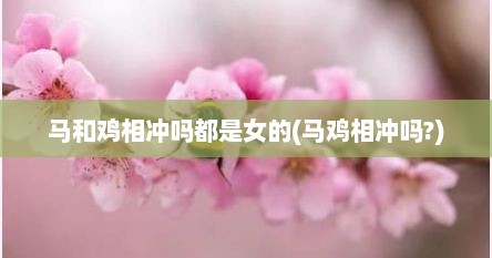 马和鸡相冲吗都是女的(马鸡相冲吗?)