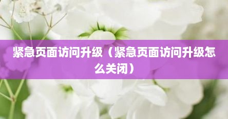 紧急页面访问升级（紧急页面访问升级怎么关闭）