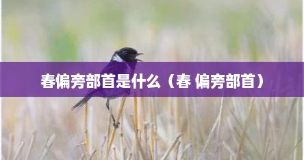 春字的部首是什么偏旁（春字的偏旁部首大多与什么有关）