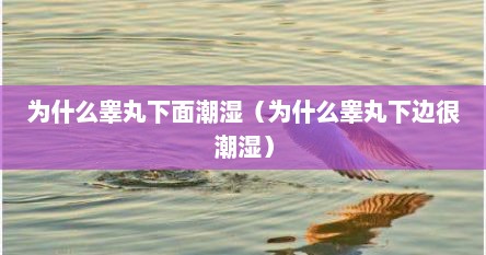 为什么睾丸下面潮湿（为什么睾丸下边很潮湿）